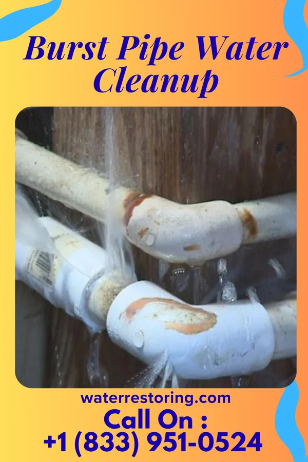 Burst Pipe Water Cleanup in Dallas Center, IA