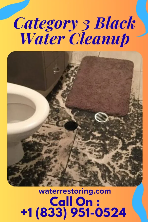 Category 3 Black Water Cleanup in Dallas Center, IA